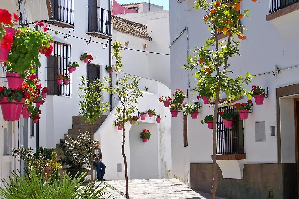 Apartamentos Miguel Angel Estepona